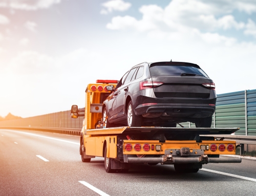 Vize Oto Kurtarıcı